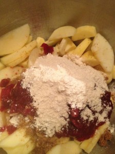 Crunchy Cranberry Apple Crisp (19)