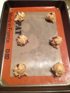 Cranberry Orange Melt-Away Cookies (10)
