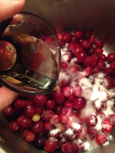 Fresh Apple Cranberry Sauce (41)