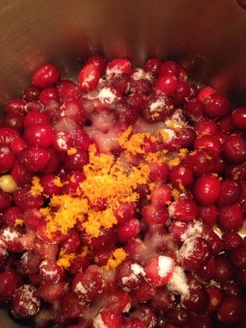 Fresh Apple Cranberry Sauce (37)