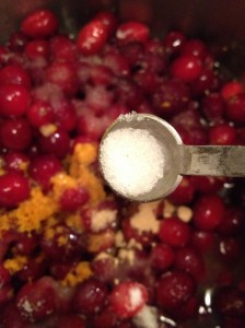 Fresh Apple Cranberry Sauce (32)