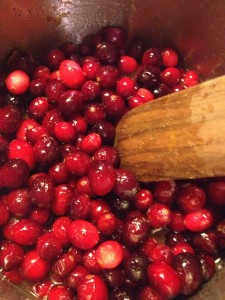 Fresh Apple Cranberry Sauce (25)