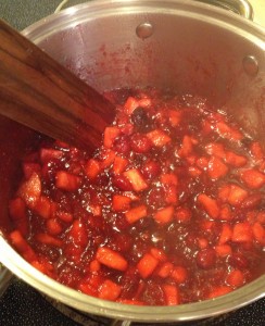 Fresh Apple Cranberry Sauce (7)