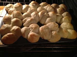 Garlic Cloverleaf Dinner Rolls (Bread Machine)