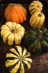 How to Roast and Puree Winter Squash