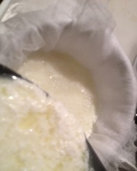 How to Make Homemade Ricotta Cheese