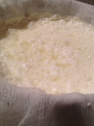 How to Make Homemade Ricotta Cheese