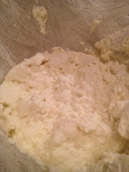 How to Make Homemade Ricotta Cheese