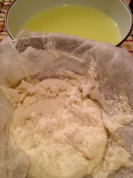 Homemade Ricotta Cheese