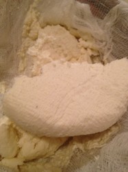 How to Make Homemade Ricotta Cheese