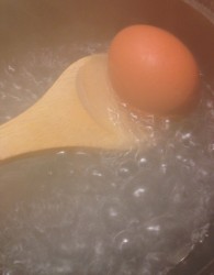 How to Soft Boil an Egg