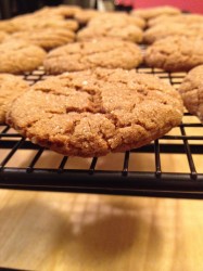 Soft Molasses Spice Cookie