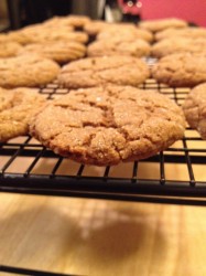 Soft Molasses Spice Cookie